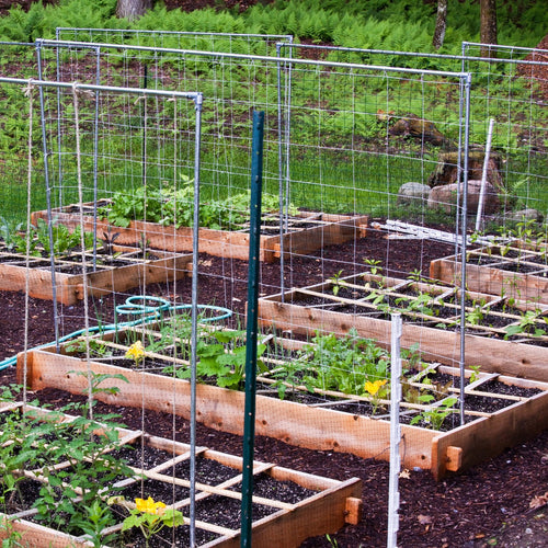 How to Start Growing in a Raised Garden Bed – Greenway Biotech, Inc.