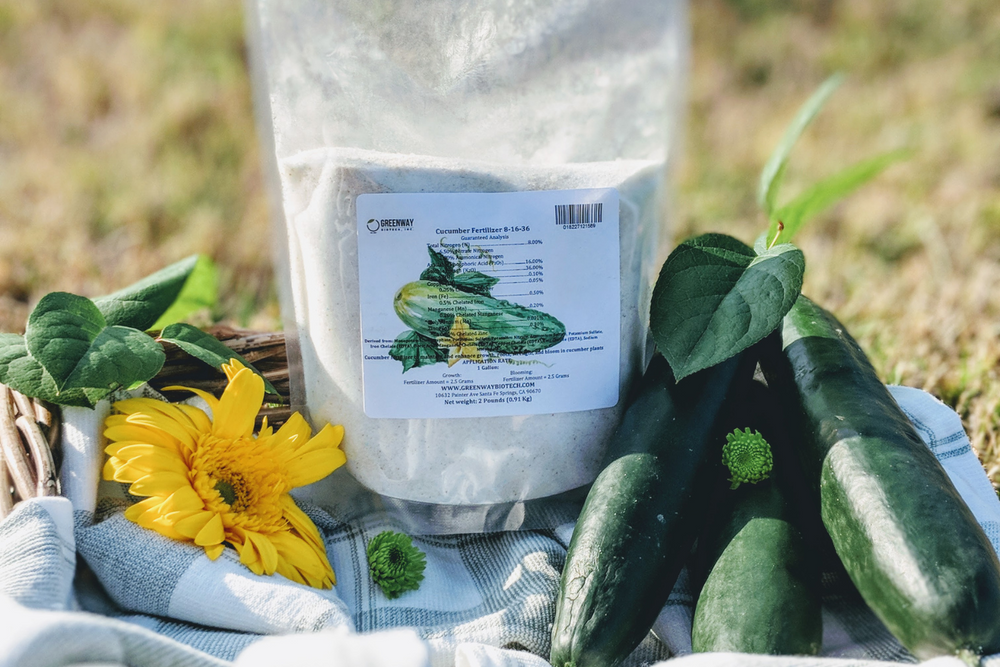 organic fertilizer for cucumbers