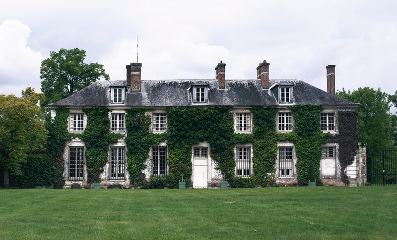 House and a lawn